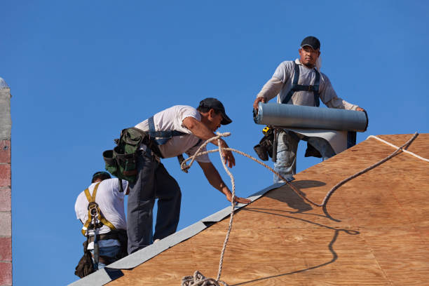 Best Metal Roofing Contractor  in Nome, AK