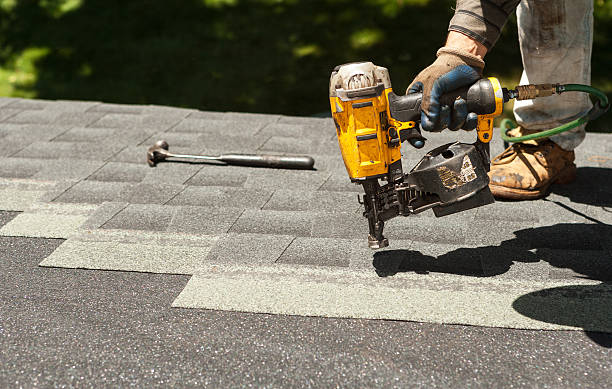 Best Roof Gutter Cleaning  in Nome, AK