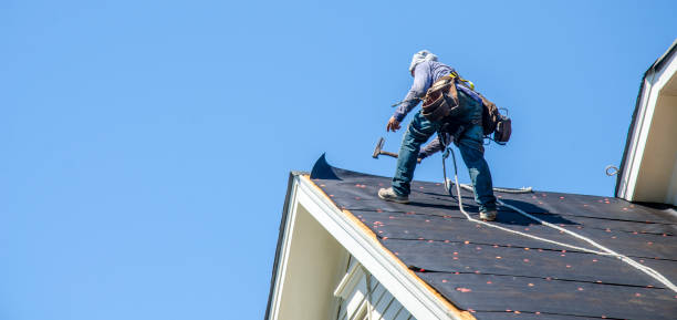 Best Residential Roof Replacement  in Nome, AK